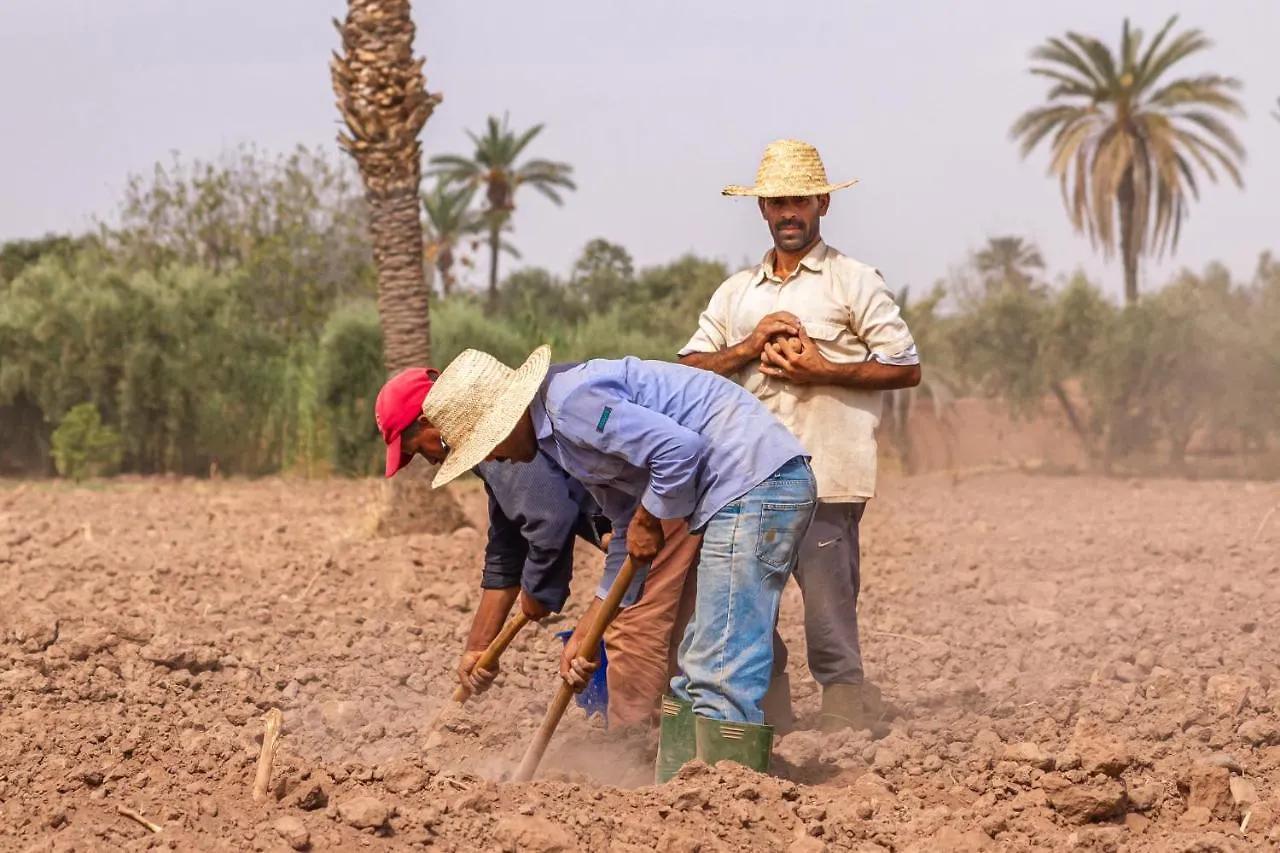 بيت خشبي Bakkal Farm Agrolodge مراكش المغرب
