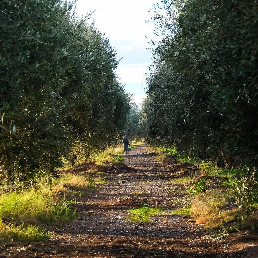 Bakkal Farm Agrolodge مراكش بيت خشبي