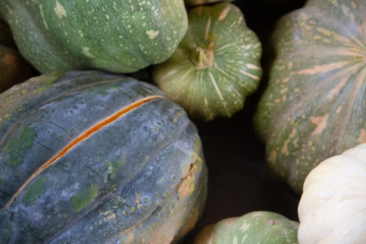 Bakkal Farm Agrolodge مراكش 0*,  المغرب
