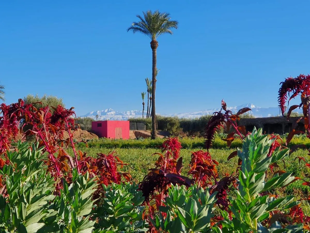 Bakkal Farm Agrolodge مراكش 0*,
