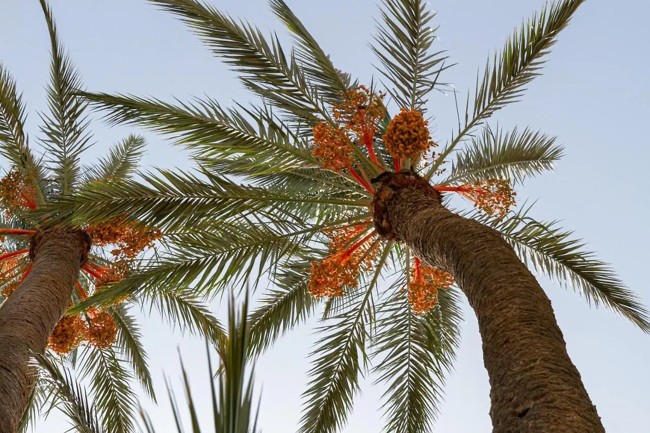 Lodge Bakkal Farm Agrolodge Marrakesh